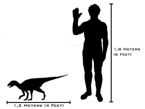 Гетеродонтозавр. Самый обаятельный динозавр